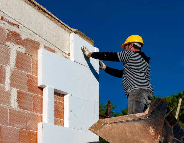 Best Insulation Inspection Services  in Mills, WY