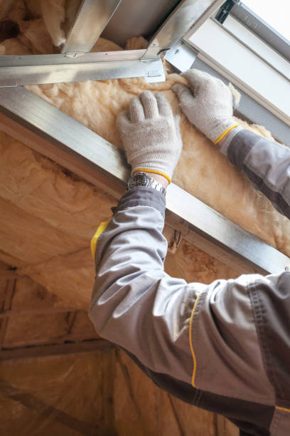 Best Affordable Insulation Services  in Mills, WY